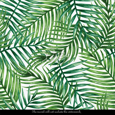 Fototapeta Příjemný odstín palmových listů