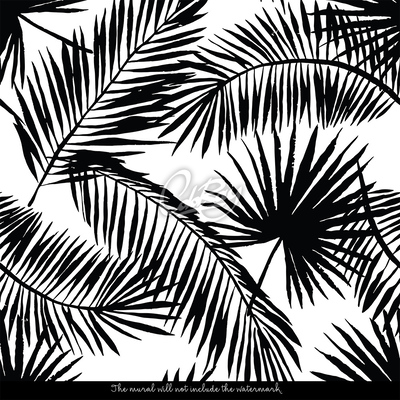 Fototapeta Černé a bílé palmové listy