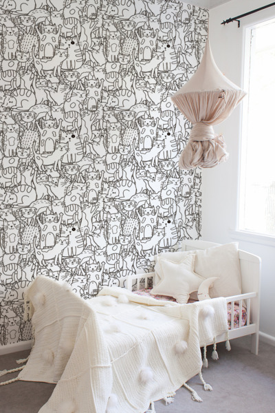 Fototapeta Kočičí země