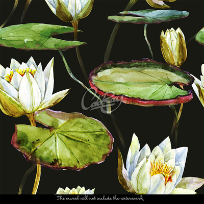 Fototapeta Úžasné lotosové květy