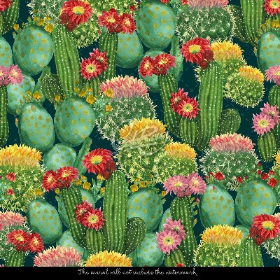 Fototapeta Skvělé kaktusy