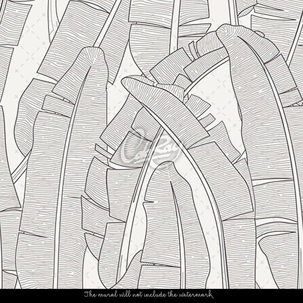 Fototapeta Banánové listy