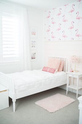 Fototapeta Svět plameňáků