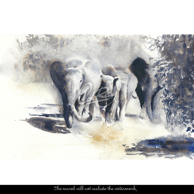 Fototapeta Putování slonů