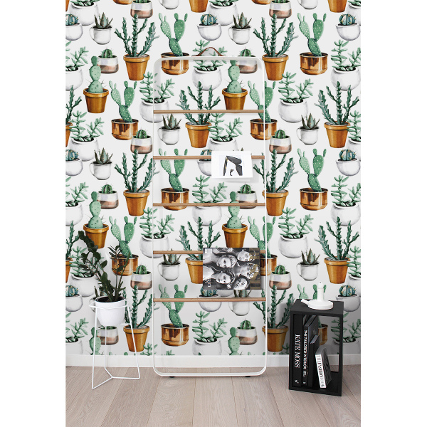 Fototapeta Kaktusy v hrnců