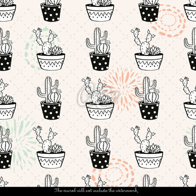 Fototapeta Veselé kaktusy v květináčích