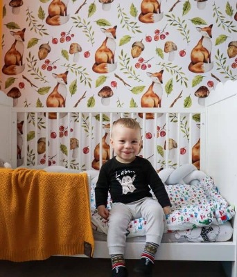 Fototapeta Ryšavé Lišky na mýtině