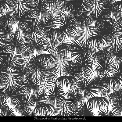 Fototapeta Uklidňující palmový stín