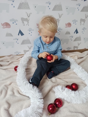 Fototapeta Bivak v lese plném zvířat