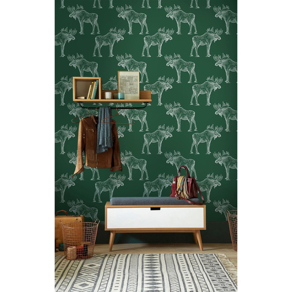 Fototapeta Zjevně někdo jednou viděl losa na kole