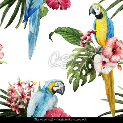 Fototapeta Líné papoušky mezi květinami