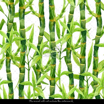 Fototapeta V začarovaném bambusovém lese