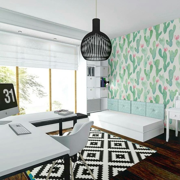 Fototapeta Kaktusy bez trnů