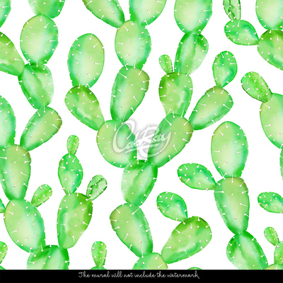 Fototapeta Zelený kaktus
