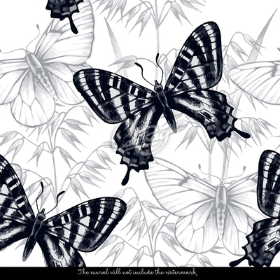 Fototapeta Elegantní černí motýli