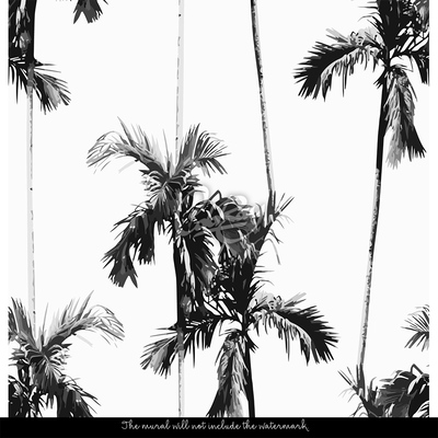 Fototapeta Stylové palmy