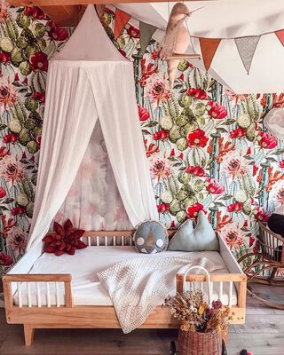 Fototapeta Kvetoucí opuncie