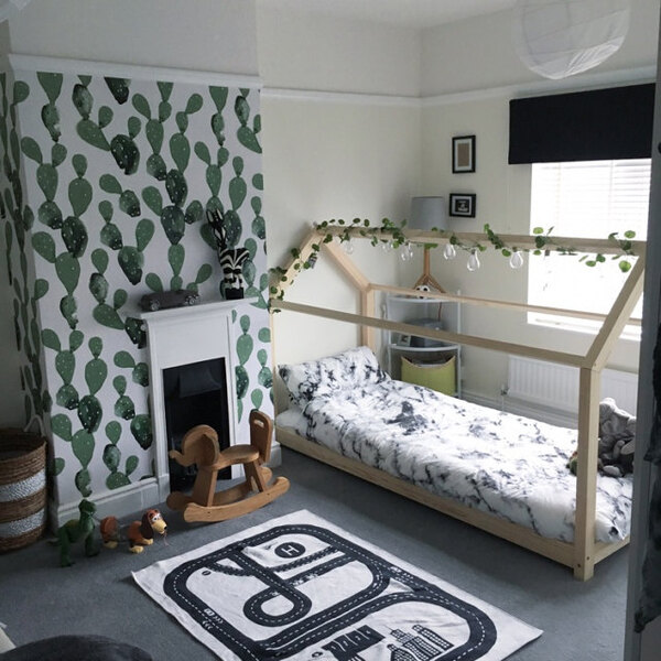 Fototapeta Kaktusový obrázek