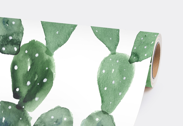 Fototapeta Kaktusový obrázek