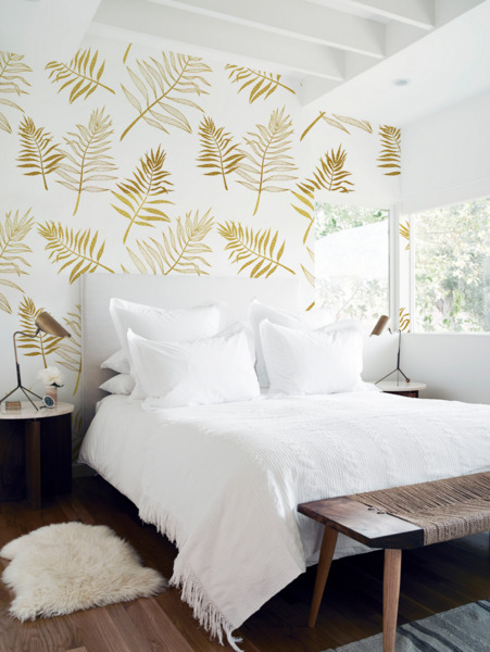 Fototapeta Kapradí listí