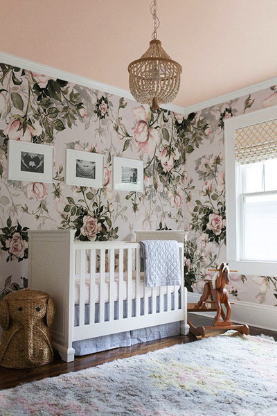 Fototapeta Keř růže