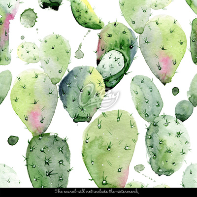 Fototapeta Osvěžující síla kaktusu