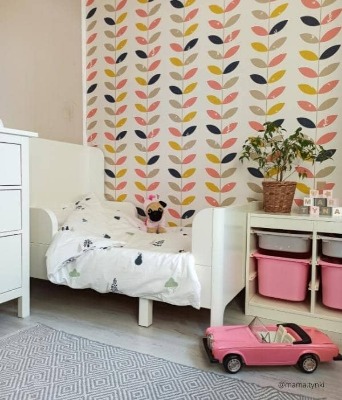 Fototapeta Liána do nebe