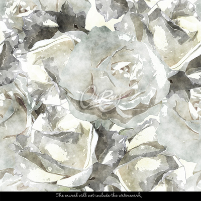Fototapeta Abstrakce na téma bílých růží