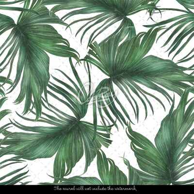 Fototapeta Vzdušné palmové listy