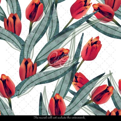 Fototapeta Okouzlující tulipány