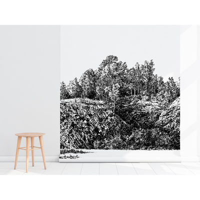 Fototapeta Ručně malovaný les na skále