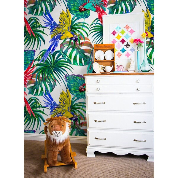 Fototapeta Ve světě báječných papoušků