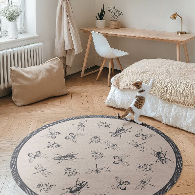 Hmyz boho na světlém pozadí
