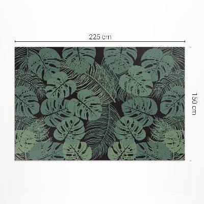 Ilustrace tropických rostlin monstera