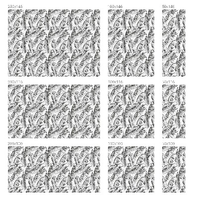 Samolepicí fólie na okna vitráž Tropické listy