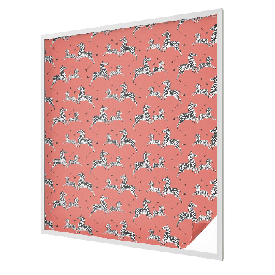 Samolepicí protisluneční fólie na okna Zebrí motiv