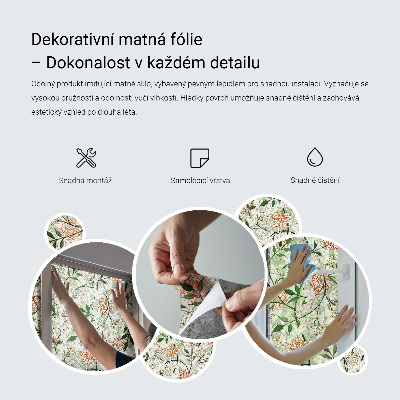 Samolepicí protisluneční fólie na okna Zelené sukulenty