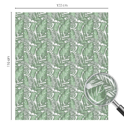 Zatmavovací fólie na okna Zelená harmonie