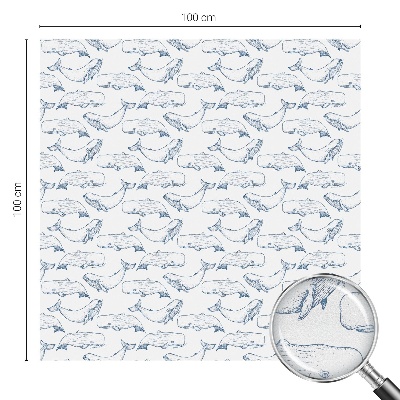 Samolepicí protisluneční fólie na okna Mořské inspirace