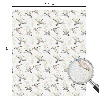 Zatmavovací fólie na okna Ptáci přírody