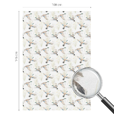 Zatmavovací fólie na okna Ptáci přírody