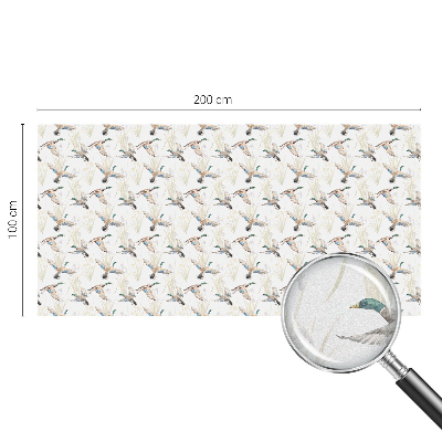 Zatmavovací fólie na okna Ptáci přírody