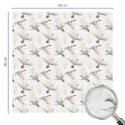 Zatmavovací fólie na okna Ptáci přírody