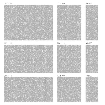 Zatmavovací fólie na okna Listnatá elegance