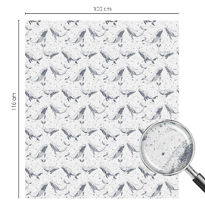 Samolepicí fólie na okna vitráž Mořští tvorové