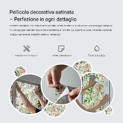 Samolepicí protisluneční fólie na okna Elegance rostlin