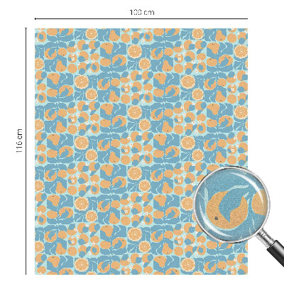 Samolepicí protisluneční fólie na okna Rybí citrus