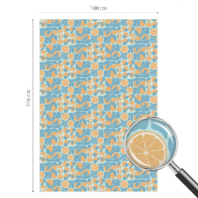 Samolepicí protisluneční fólie na okna Rybí citrus