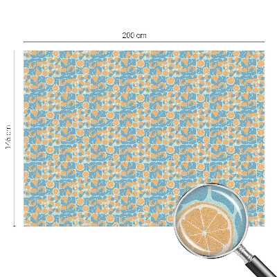 Samolepicí protisluneční fólie na okna Rybí citrus