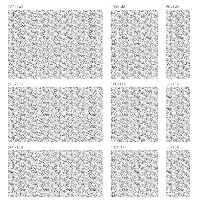 Zatmavovací fólie na okna Ptáci a květiny